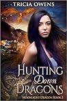 Hunting Down Dragons