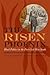 The Risen Phoenix: Black Politics in the Post–Civil War South (The American South Series)