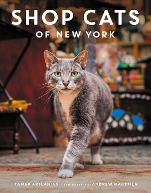 Shop Cats of New York