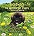 Ludwig the Leonberger Puppy Explores Nature