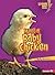 Meet a Baby Chicken (Lightning Bolt Books ® ― Baby Farm Animals)