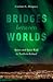 Bridges between Worlds: Spirits and Spirit Work in Northern Iceland