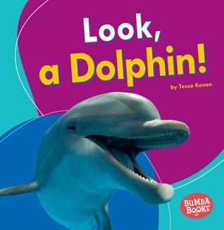 Look, a Dolphin! (Bumba Books ® ― I See Ocean Animals)