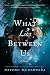 What Lies Between Us