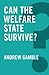Can the Welfare State Survive?
