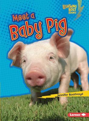 Meet a Baby Pig (Lightning Bolt Books: Baby Farm Animals)