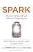 Spark: How to Lead Yourself and Others to Greater Success