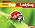 From Egg to Ladybug