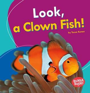 Look, a Clown Fish! (Bumba Books ® ― I See Ocean Animals)
