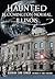 Haunted Bloomington-Normal, Illinois (Haunted America)