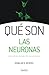 Qué son las neuronas