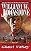 Ghost Valley (The Last Gunfighter, #3)