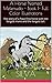 A Horse Named Melenudo - Book 1- Full Color Illustrations by Augusto Silva