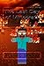 The Last Day of Minecraft