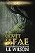 To Covet The Fae by L.E. Wilson