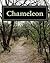 CHAMELEON: A Novel (N/A)