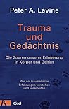 Trauma und Gedäch...