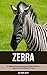 Zebra: A Children Pictures Book About Zebra With Fun Zebra Facts and Photos For Kids