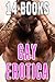EROTICA GAY: 14 Steamy Stories Bundle Collection Box Set