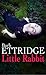 Little Rabbit (Vampire Murders, #1)