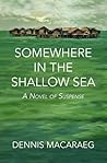 Somewhere in the Shallow Sea: A Novel of Suspense