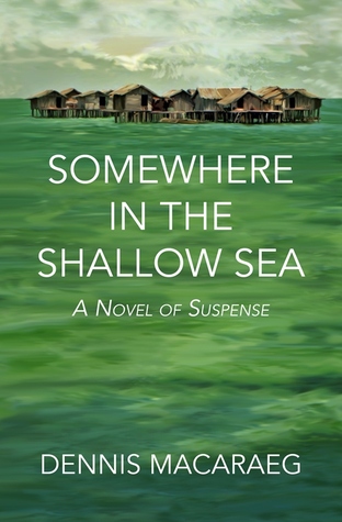 Somewhere in the Shallow Sea: A Novel of Suspense