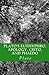 Plato's Euthyphro, Apology, Crito, and Phaedo by Plato