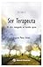 Ser Terapeuta by Augusto Perez Gomez Ser Terapeuta by Augusto Perez Gomez
