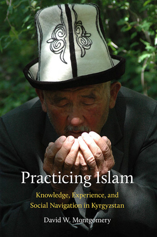 Practicing Islam: Knowledge, Experience, and Social Navigation in Kyrgyzstan (Central Eurasia in Context, 24)