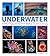 Underwater Photography Masterclass by Alex Mustard