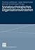 Sozialpsychologisches Organisationsverstehen (German Edition)