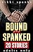 Bound and Spanked - 20 Stories