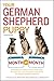 Your German Shepherd Puppy ...