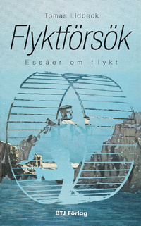 Flyktförsök: essäer om flykt