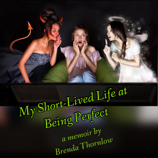 My Short-Lived Life at Being Perfect