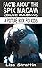 Facts About the Spix Macaw (Blue Macaw): The Spix Macaw Up Close (A Picture Book For Kids 16)