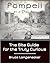 Pompeii in a Day: The Site ...