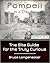 Pompeii in a Day by Bruce W. Longenecker