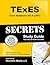 TExES Core Subjects EC-6 (291) Secrets Study Guide: TExES Test Review for the Texas Examinations of Educator Standards
