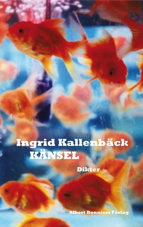 Känsel (Hardcover)