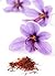 saffron crocus
