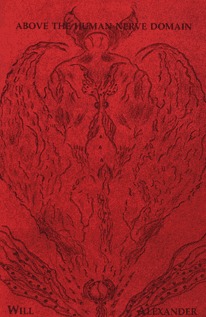 Above the Human Nerve Domain