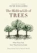 Image for The Hidden Life of Trees