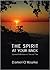 The Spirit At Your Back, Spiritual Reflections on This and That by Daniel O'Rourke