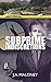 Subprime Indiscretions (Brad Stephens Novels Book 1)