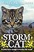 Storm Cat