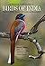 Birds of India