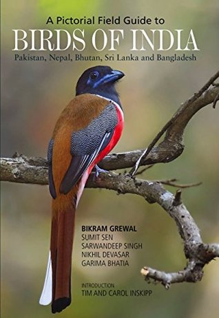 Birds of India (Paperback)