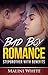 Bad Boy Romance by Malini White