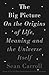 The Big Picture: On the Origins of Life, Meaning, and the Universe Itself